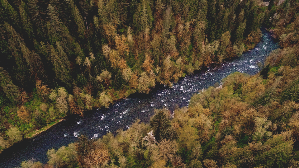 Vista aérea del cauce de un río desde el dron